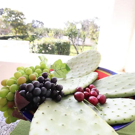 Casa Negroamaro *